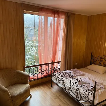 Hotel Palas Tatariv 3* タターリウ