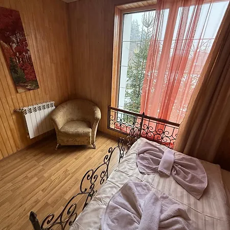 Hotel Palas Tatariv 3* タターリウ