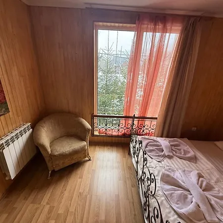 Hotel Palas Tatariv 3* タターリウ