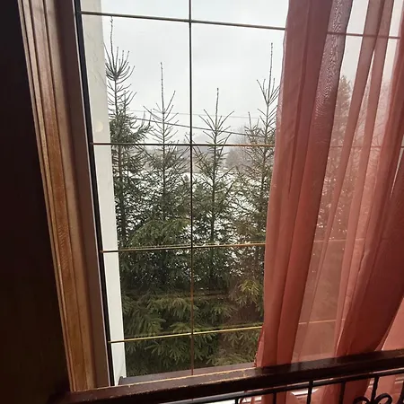 Hotel Palas Tatariv *