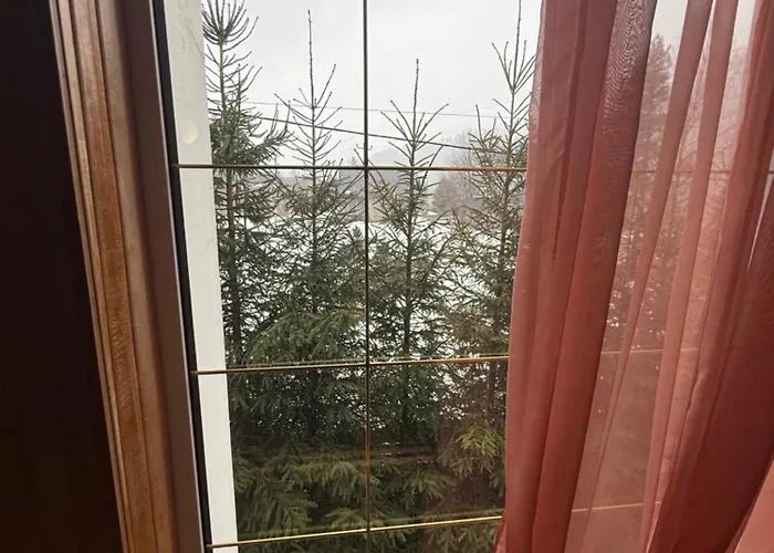 Hotel palas tatariv *